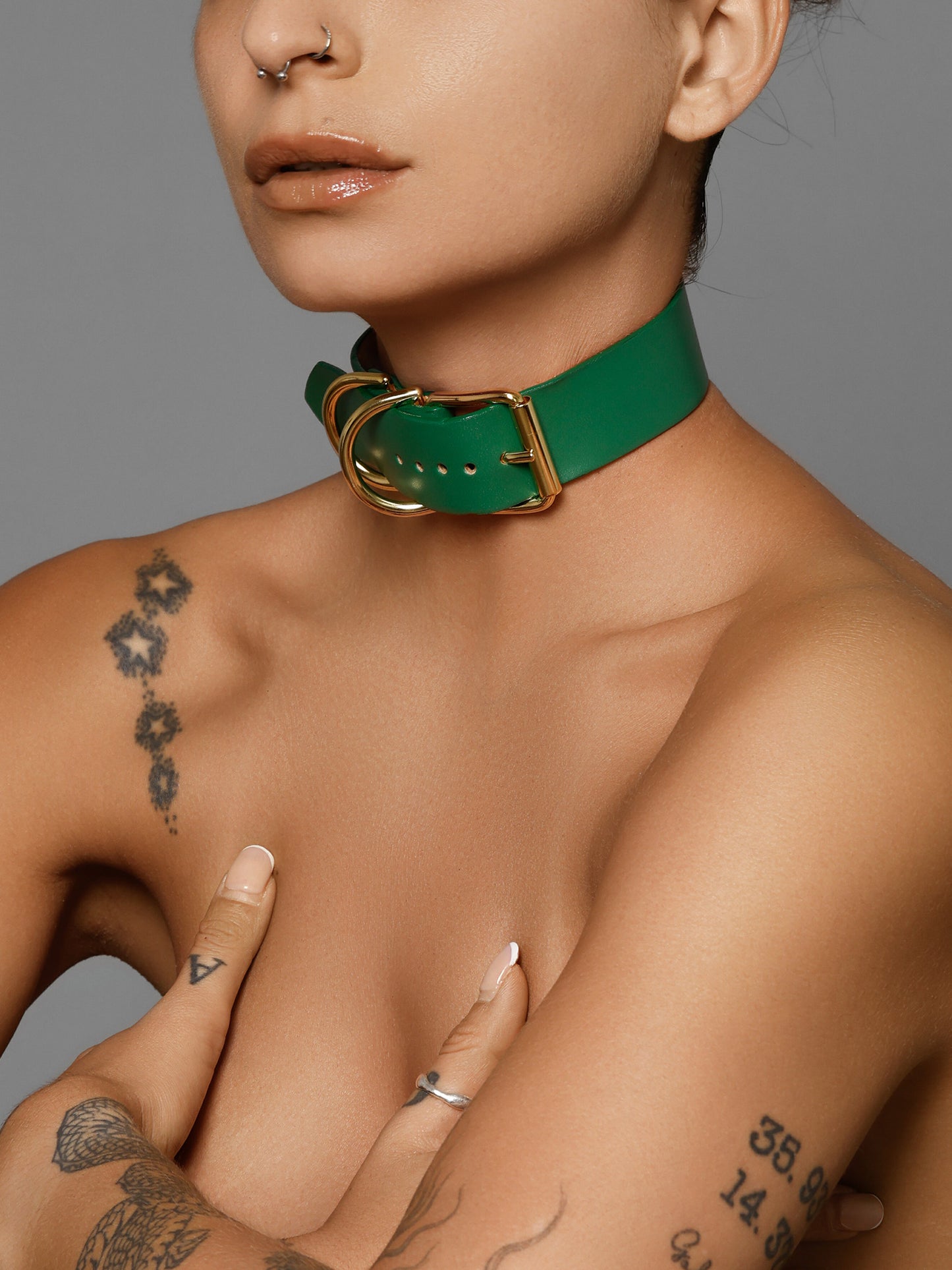 Classic D Ring Collar